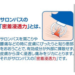 Salonpas Pain Relieving Patch 240pcs (Japan Version)
