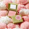 Dandelion Baby-Pink Blush Powder