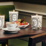 Fruits Confits Candle