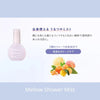 Perfect Brightening Kit (Limited Edition)
