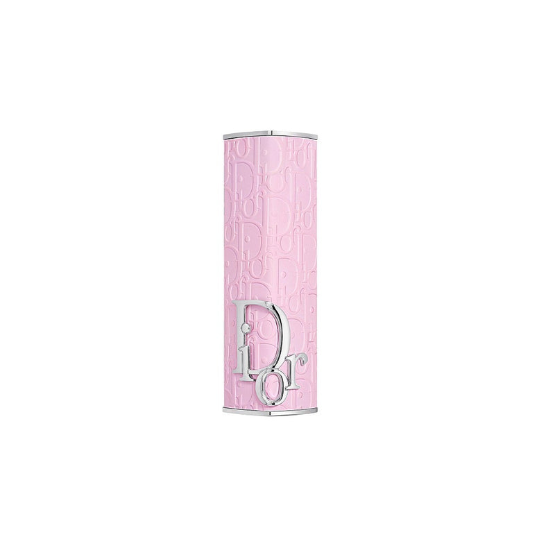 Dior Addict Lipstick Case - Rosemania