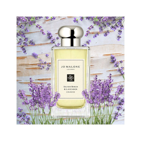 Silver Birch & Lavender Cologne | Jo Malone | BB Beauty