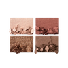 Luxury Eyeshadow Palette #The Bella Sofia