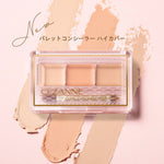 Palette Concealer High Cover