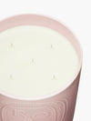 Extra Large Candles 1.5kg with 5 Wicks