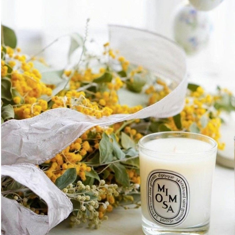 Mimosa Candle