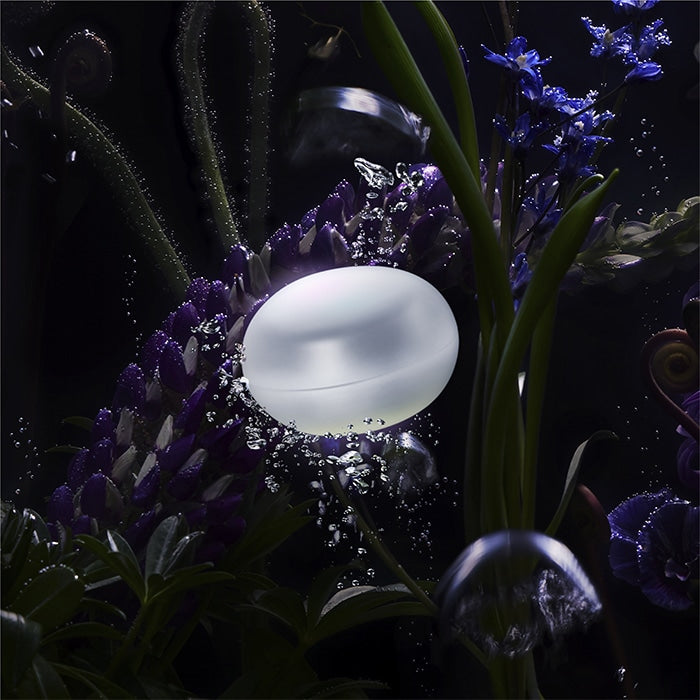 B.A Grandluxe O 50g | Pola | BB Beauty
