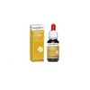 Propolis Liquid Extract Alcohol Free