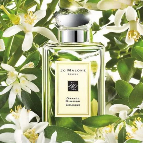 橙花手部及身體潤膚乳液