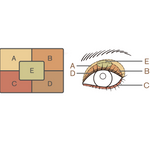 Geminate Eyes N 01