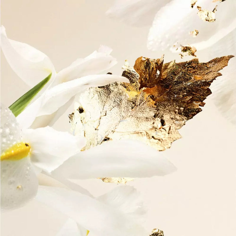 Splendida Patchouli Tentation 香水50毫升| BVLGARI | BB Beauty Splendida Patchouli Tentation 香水50毫升| BVLGARI | BB Beauty