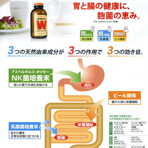 Strong Wakamoto Gastrointestinal Remedy 1000 Tablets