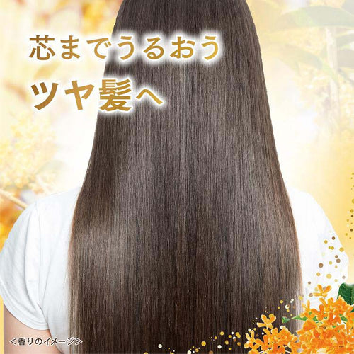 Super Rich Shine Kinmokusei Damage Repair Treatment
