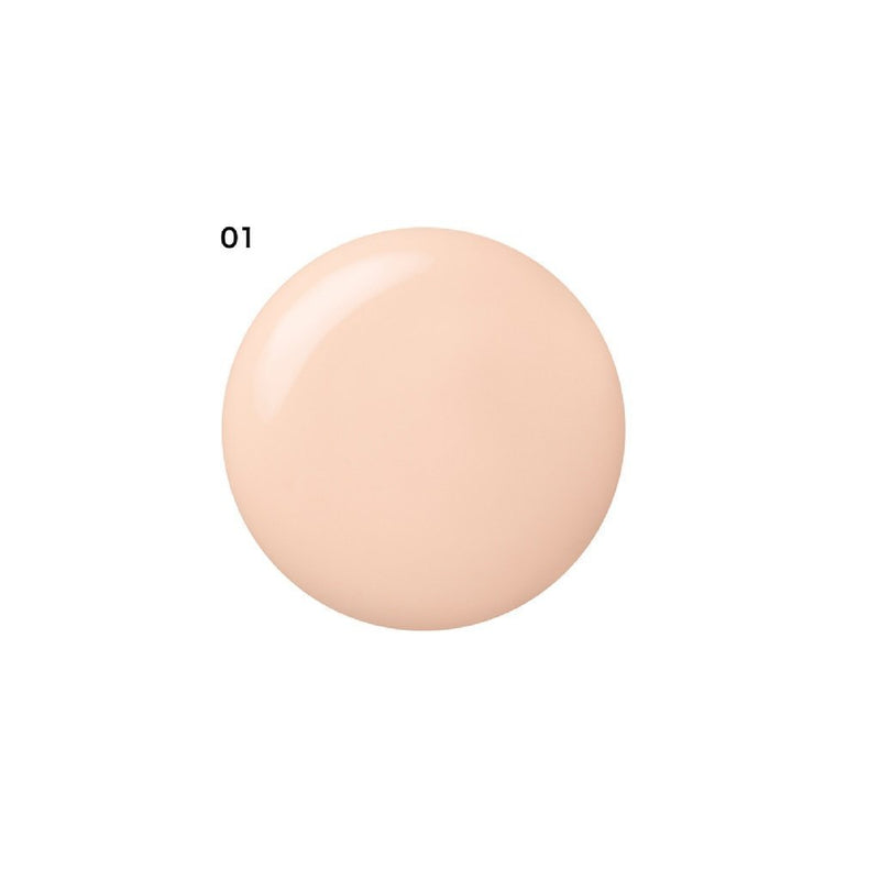 Protecting Foundation Primer 01